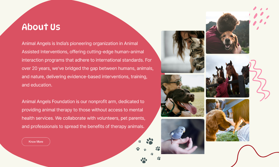 Animal Angels Service Approach